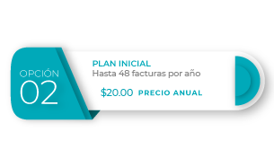 INITIAL PLAN / UNTIL 48 INVOICES PER YEAR